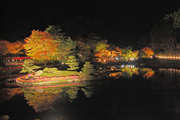 虹の郷紅葉まつり：日本庭園・池に映る影