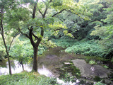 柿田川公園・第1展望台より