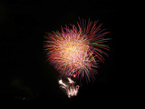 鹿島の花火2009(7) : 1024 * 768 pixels, 75KB