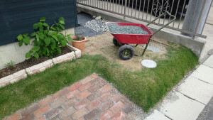 芝生の段差を登るのがひと苦労