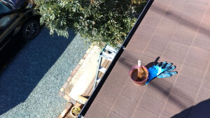 屋根に登りました