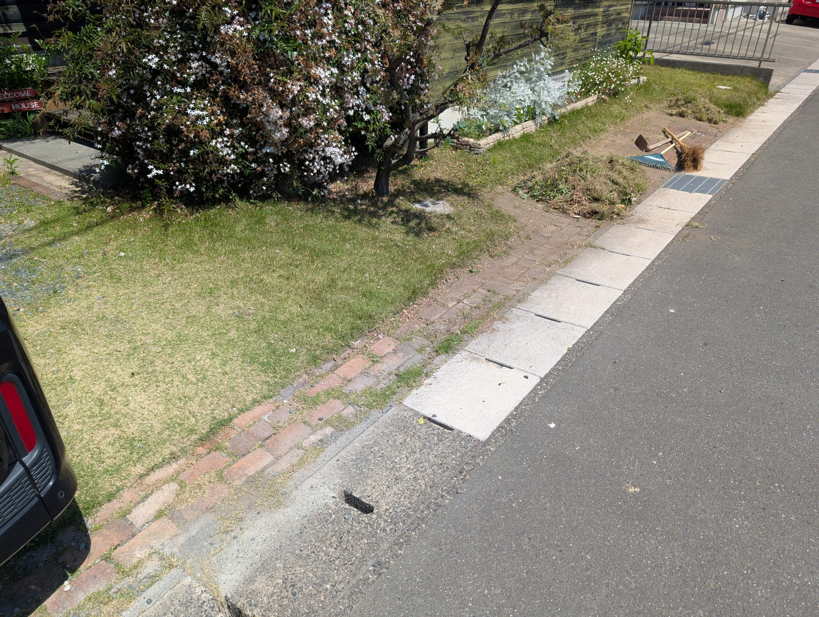 夏だ、さあ庭仕事