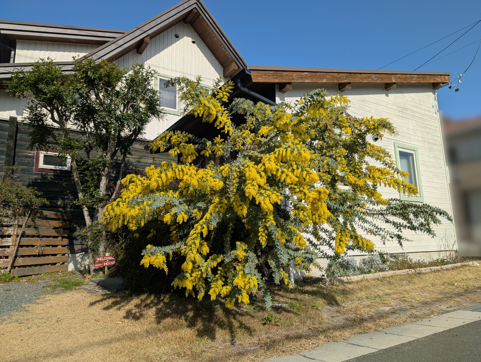 2月に逃げられた